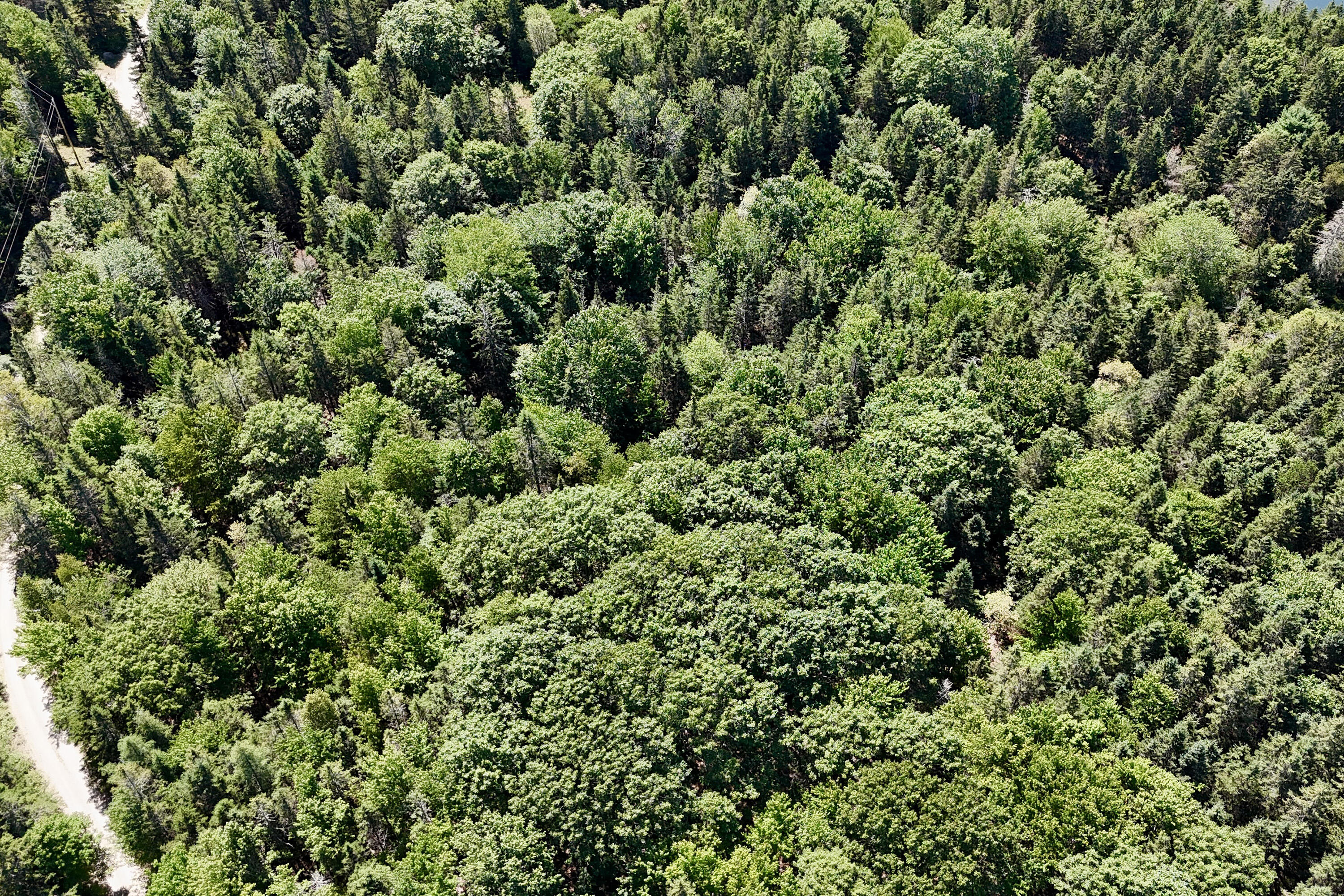 2 Camp Stream Point Lane Sedgwick ME 04676