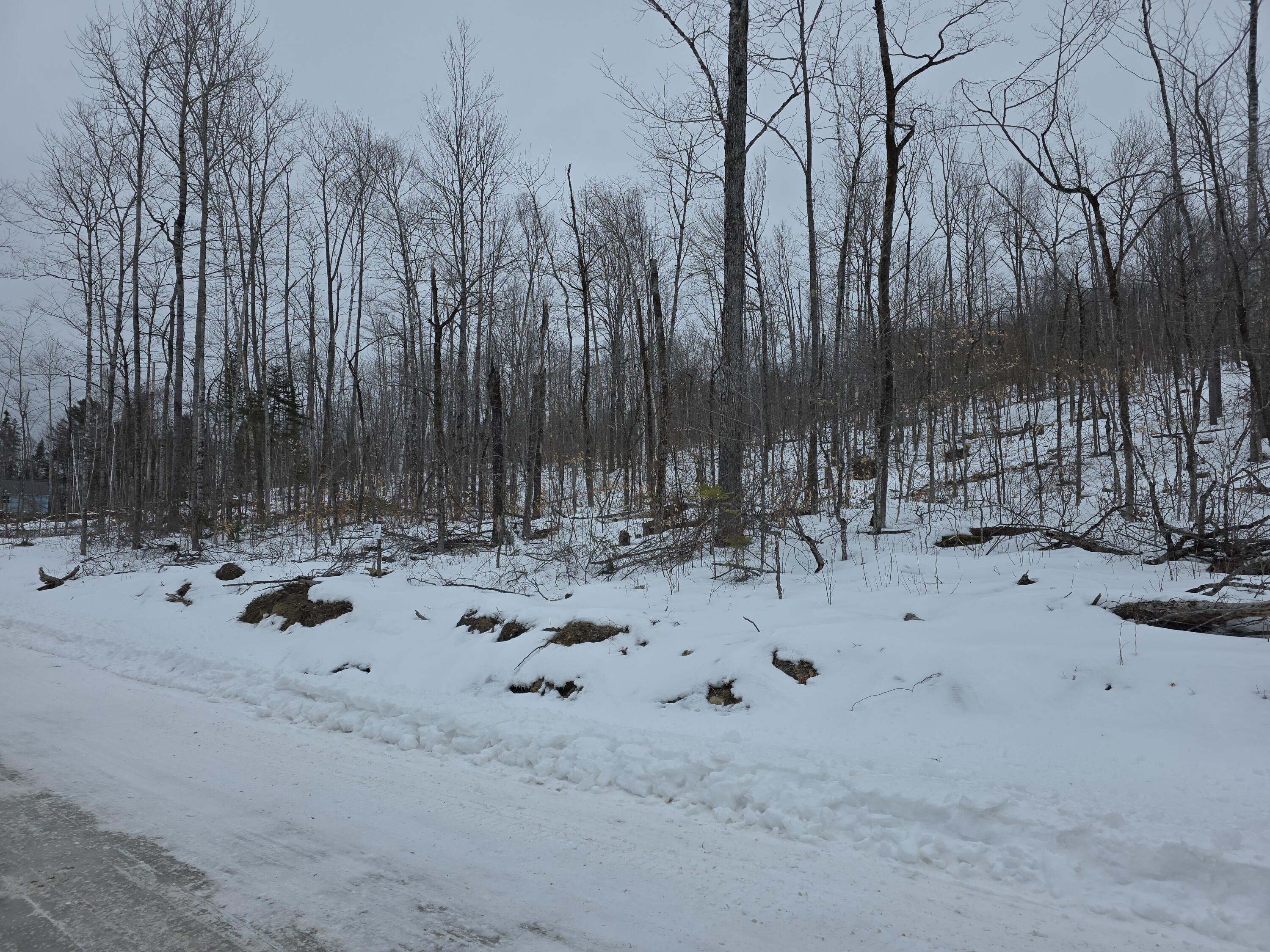 Lot F Sleeper Road Island Falls ME 04747