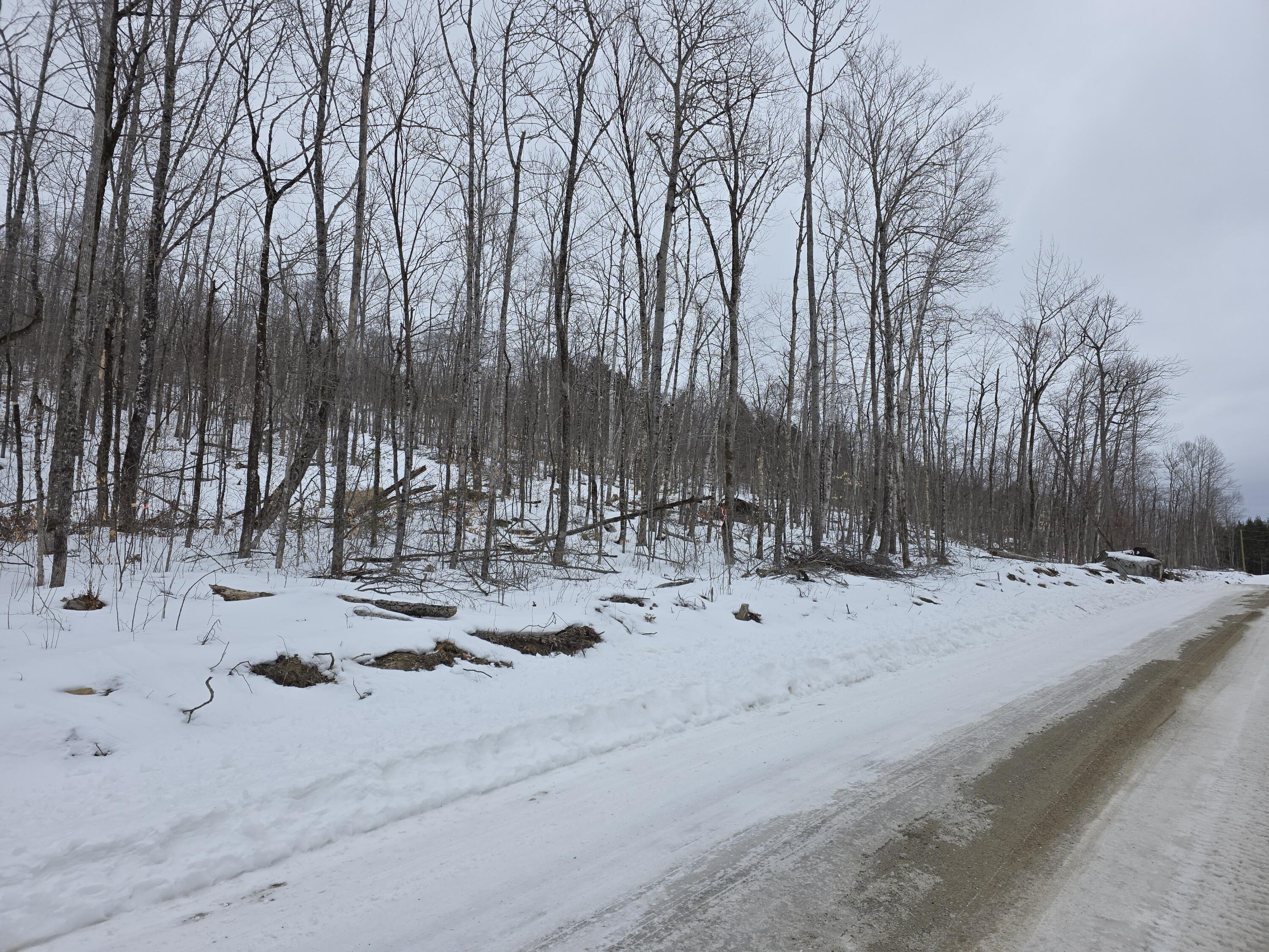 Lot F Sleeper Road Island Falls ME 04747