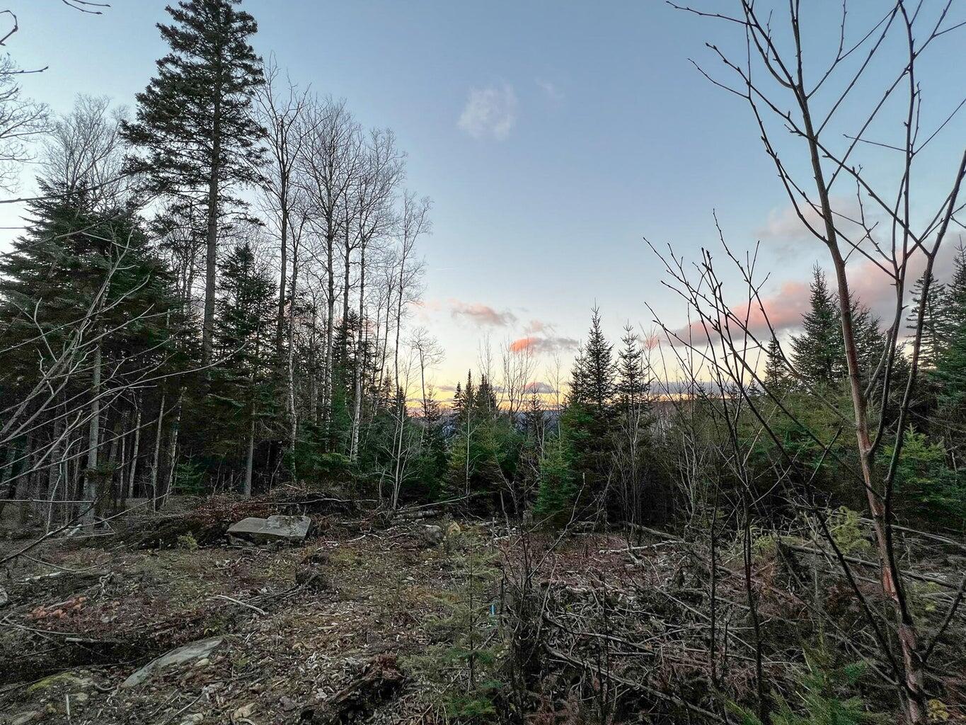 Lot 16 Mill Brook Road Sandy River Plt ME 04970