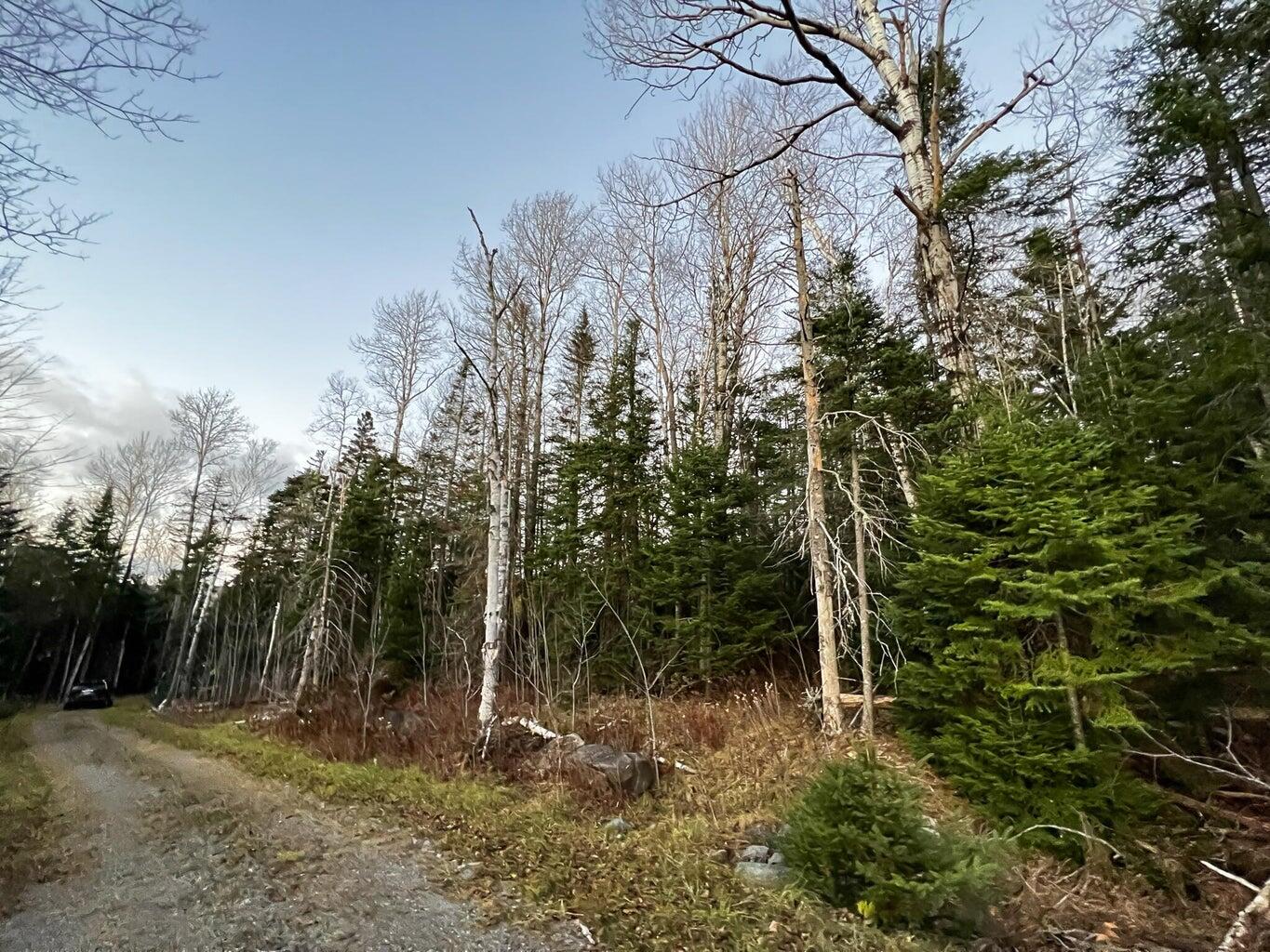 Lot 16 Mill Brook Road Sandy River Plt ME 04970