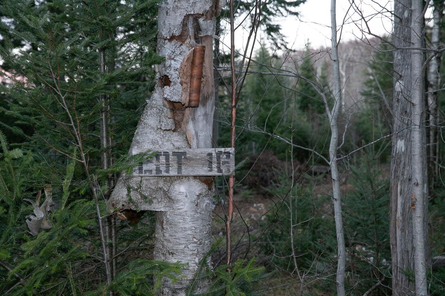 Lot 16 Mill Brook Road Sandy River Plt ME 04970