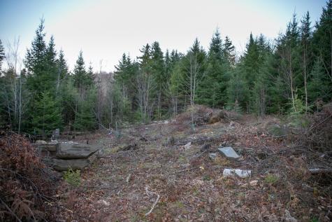 Lot 16 Mill Brook Road Sandy River Plt ME 04970