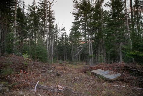 Lot 16 Mill Brook Road Sandy River Plt ME 04970