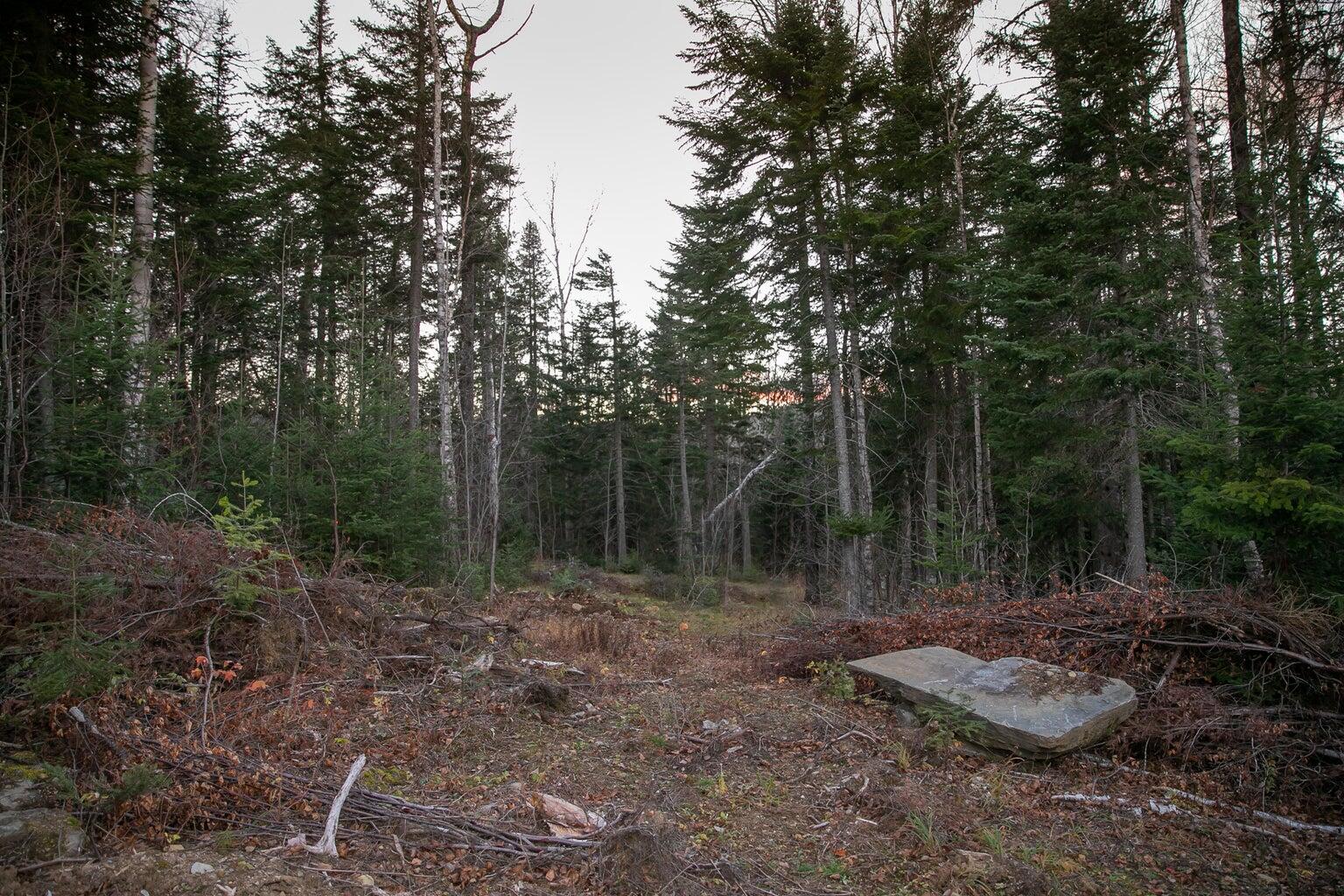 Lot 16 Mill Brook Road Sandy River Plt ME 04970