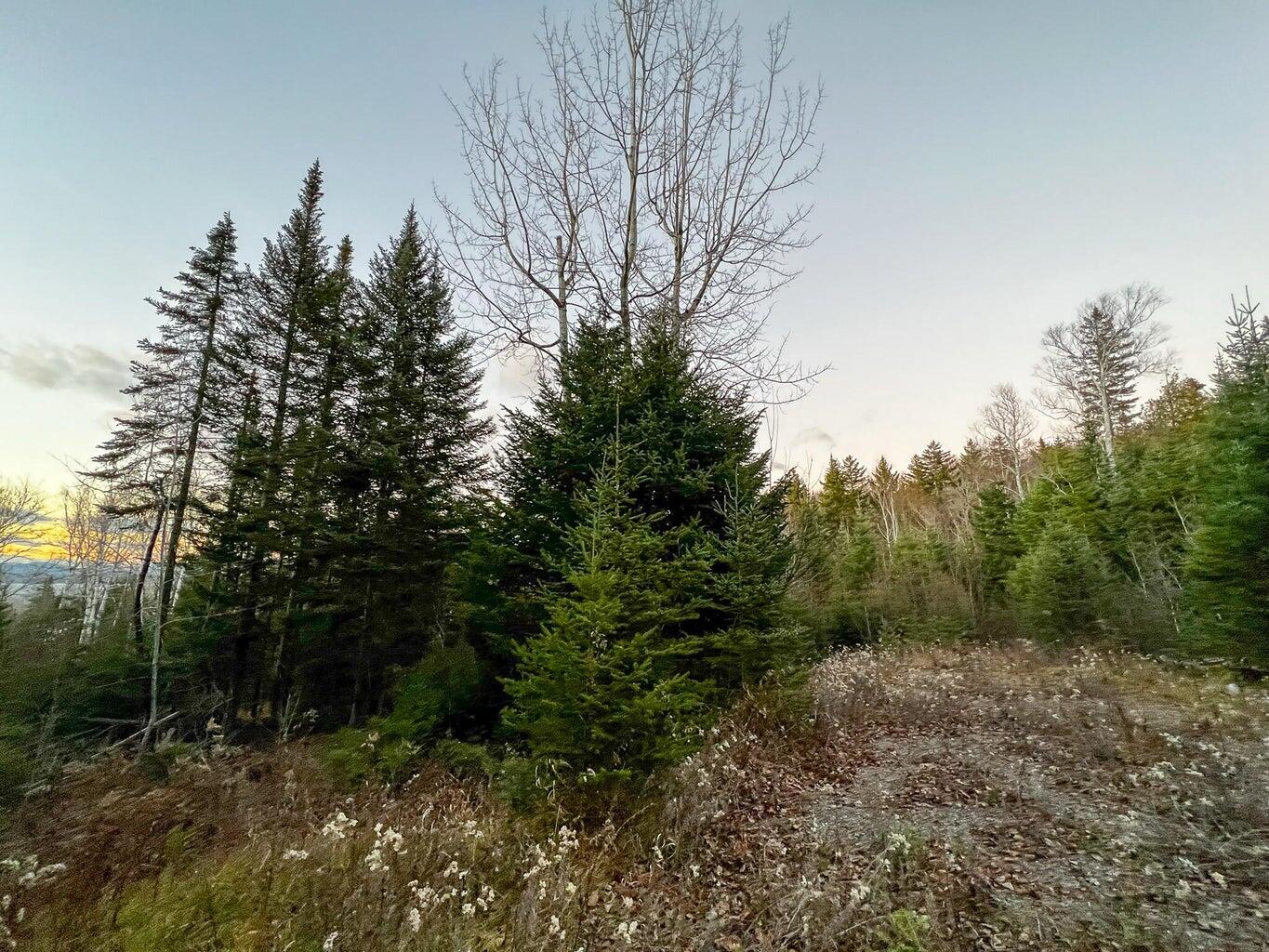 Lot 16 Mill Brook Road Sandy River Plt ME 04970