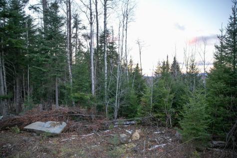 Lot 16 Mill Brook Road Sandy River Plt ME 04970