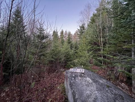 Lot 16 Mill Brook Road Sandy River Plt ME 04970