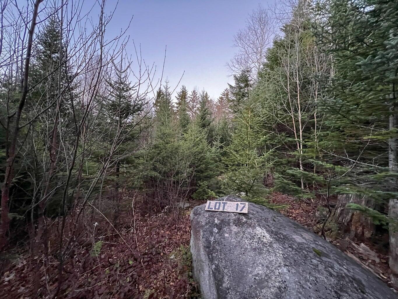 Lot 16 Mill Brook Road Sandy River Plt ME 04970