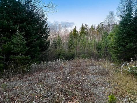 Lot 16 Mill Brook Road Sandy River Plt ME 04970