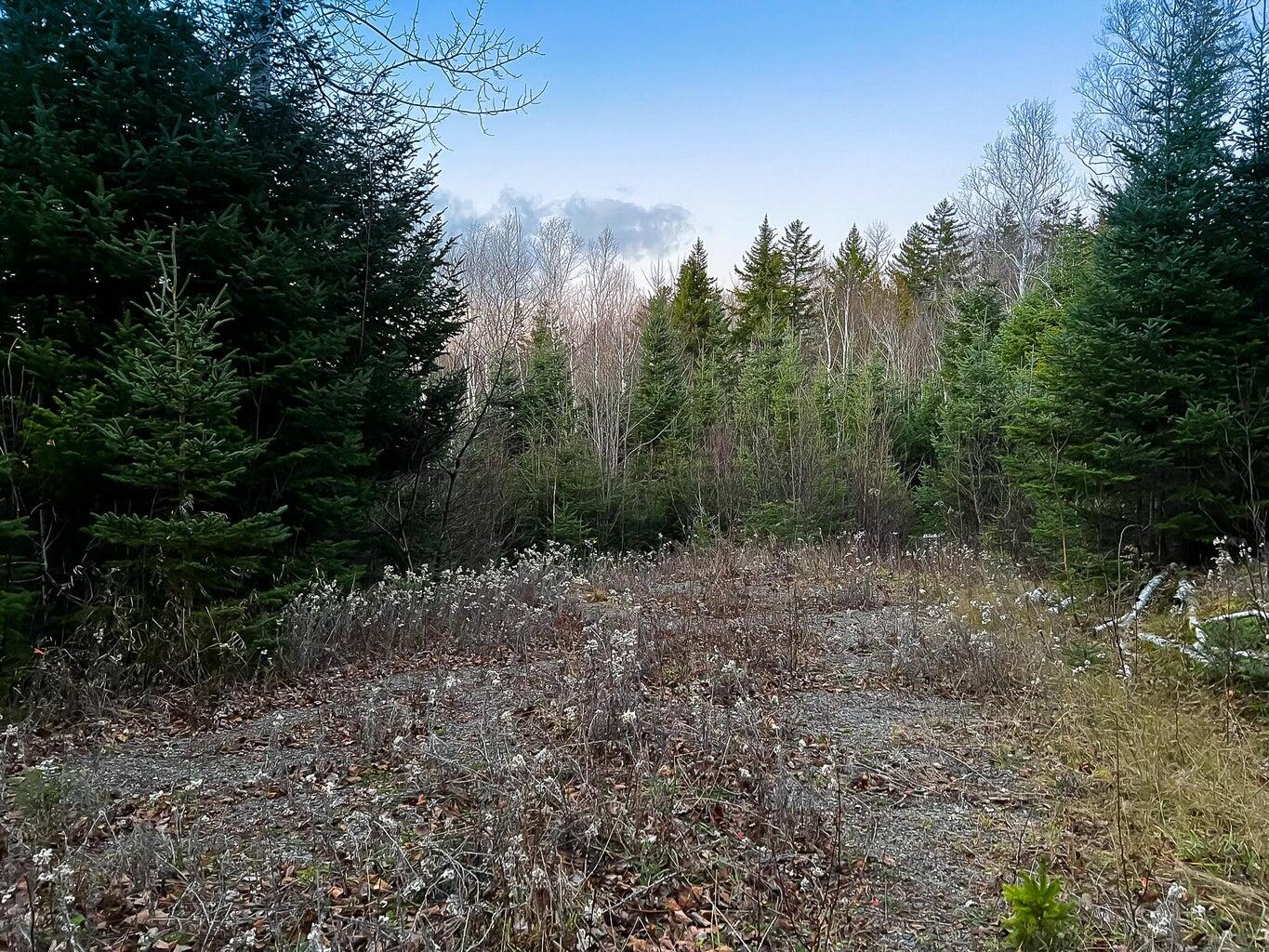 Lot 16 Mill Brook Road Sandy River Plt ME 04970
