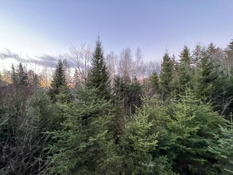 Lot 16 Mill Brook Road Sandy River Plt ME 04970