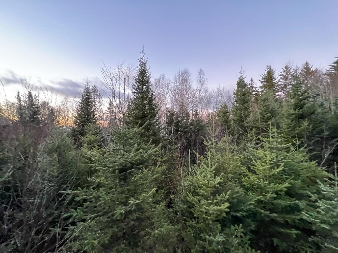 Lot 16 Mill Brook Road Sandy River Plt ME 04970