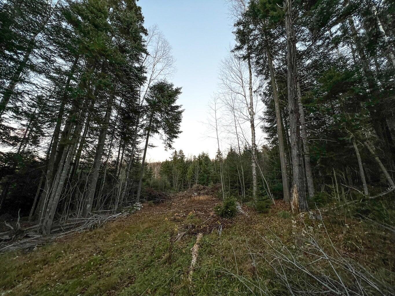 Lot 16 Mill Brook Road Sandy River Plt ME 04970