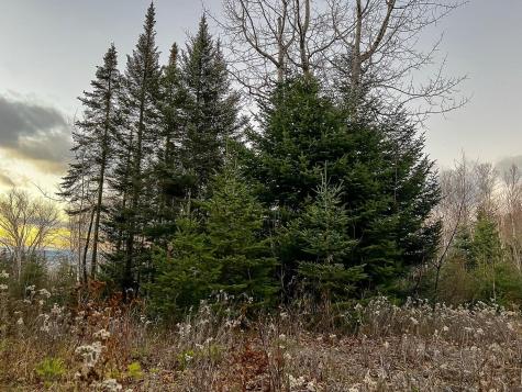 Lot 16 Mill Brook Road Sandy River Plt ME 04970