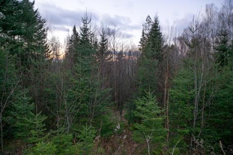 Lot 16 Mill Brook Road Sandy River Plt ME 04970