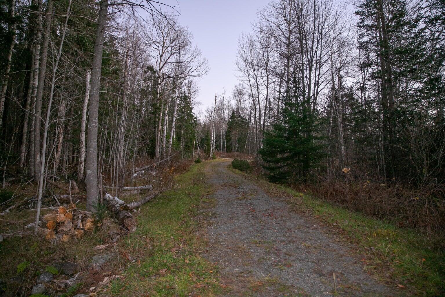 Lot 16 Mill Brook Road Sandy River Plt ME 04970