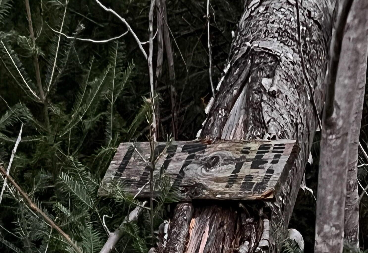 Lot 16 Mill Brook Road Sandy River Plt ME 04970