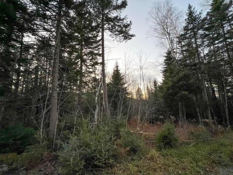 Lot 16 Mill Brook Road Sandy River Plt ME 04970