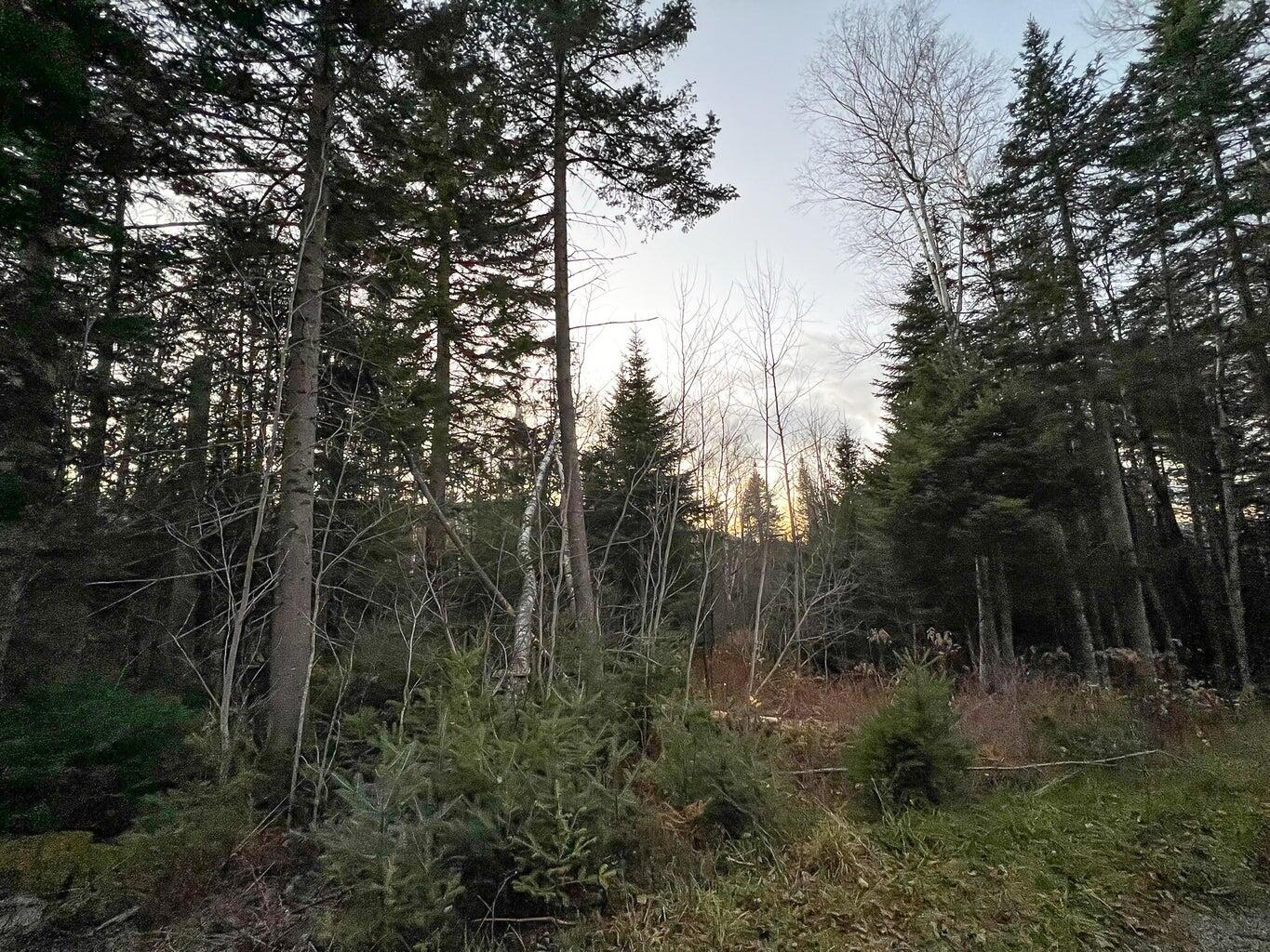 Lot 16 Mill Brook Road Sandy River Plt ME 04970