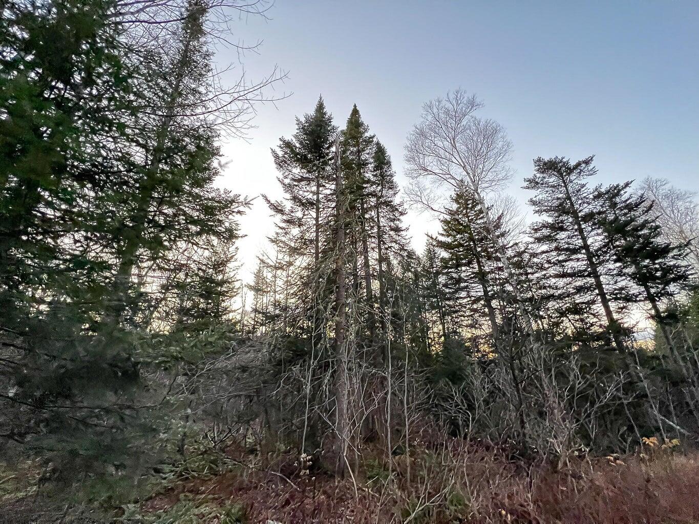 Lot 16 Mill Brook Road Sandy River Plt ME 04970