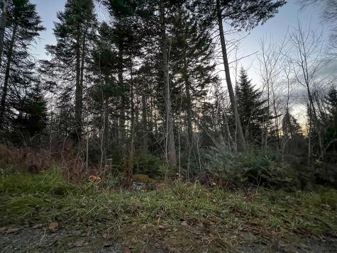 Lot 16 Mill Brook Road Sandy River Plt ME 04970