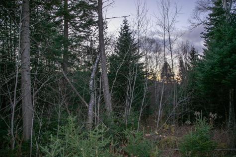 Lot 16 Mill Brook Road Sandy River Plt ME 04970