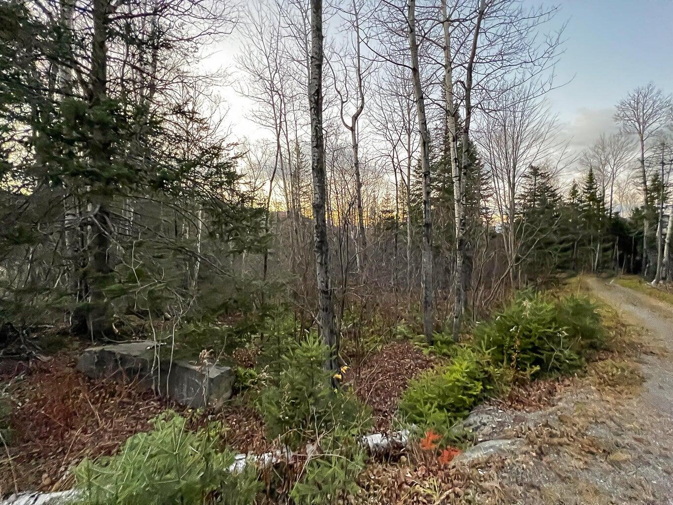 Lot 16 Mill Brook Road Sandy River Plt ME 04970