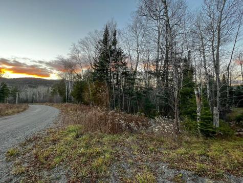 Lot 16 Mill Brook Road Sandy River Plt ME 04970