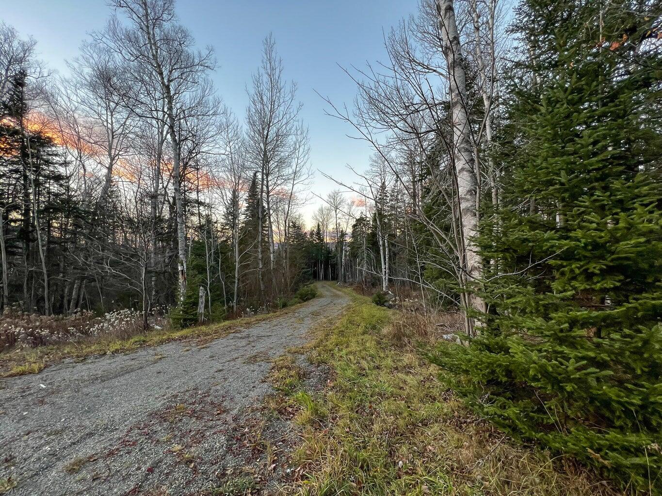 Lot 16 Mill Brook Road Sandy River Plt ME 04970