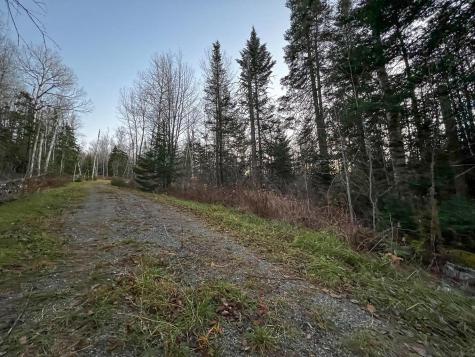 Lot 16 Mill Brook Road Sandy River Plt ME 04970
