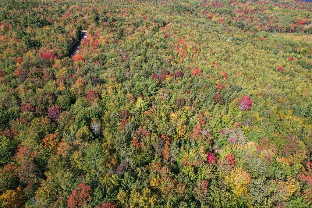 Lot 9 Foggy Ridge Way Ellsworth ME 04605