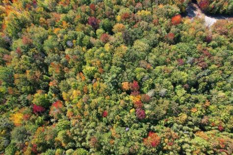 Lot 9 Foggy Ridge Way Ellsworth ME 04605