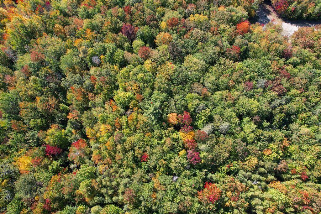 Lot 9 Foggy Ridge Way Ellsworth ME 04605