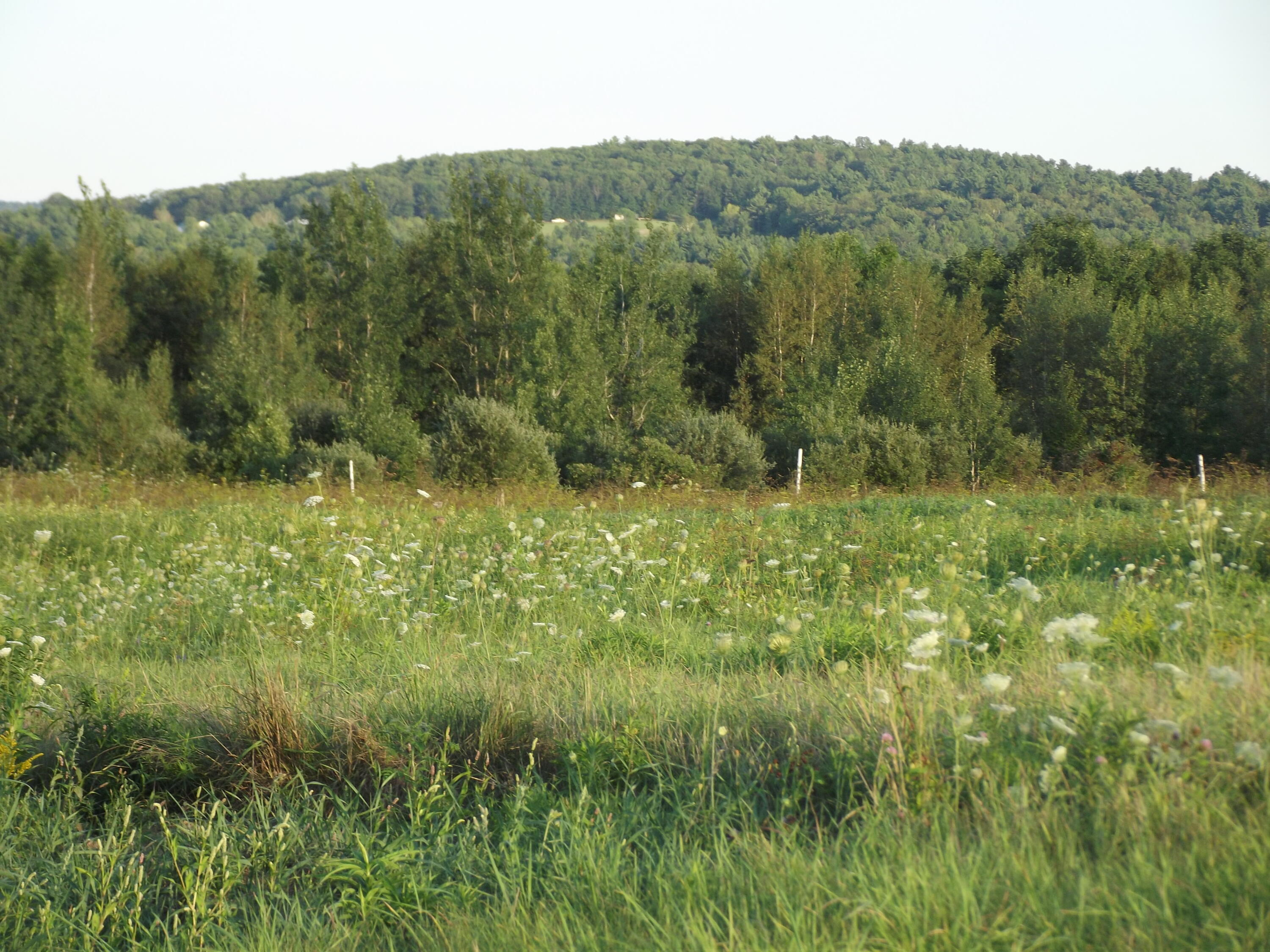 16 Vista Drive Albion Maine Real Estate Listing MLS 1559670