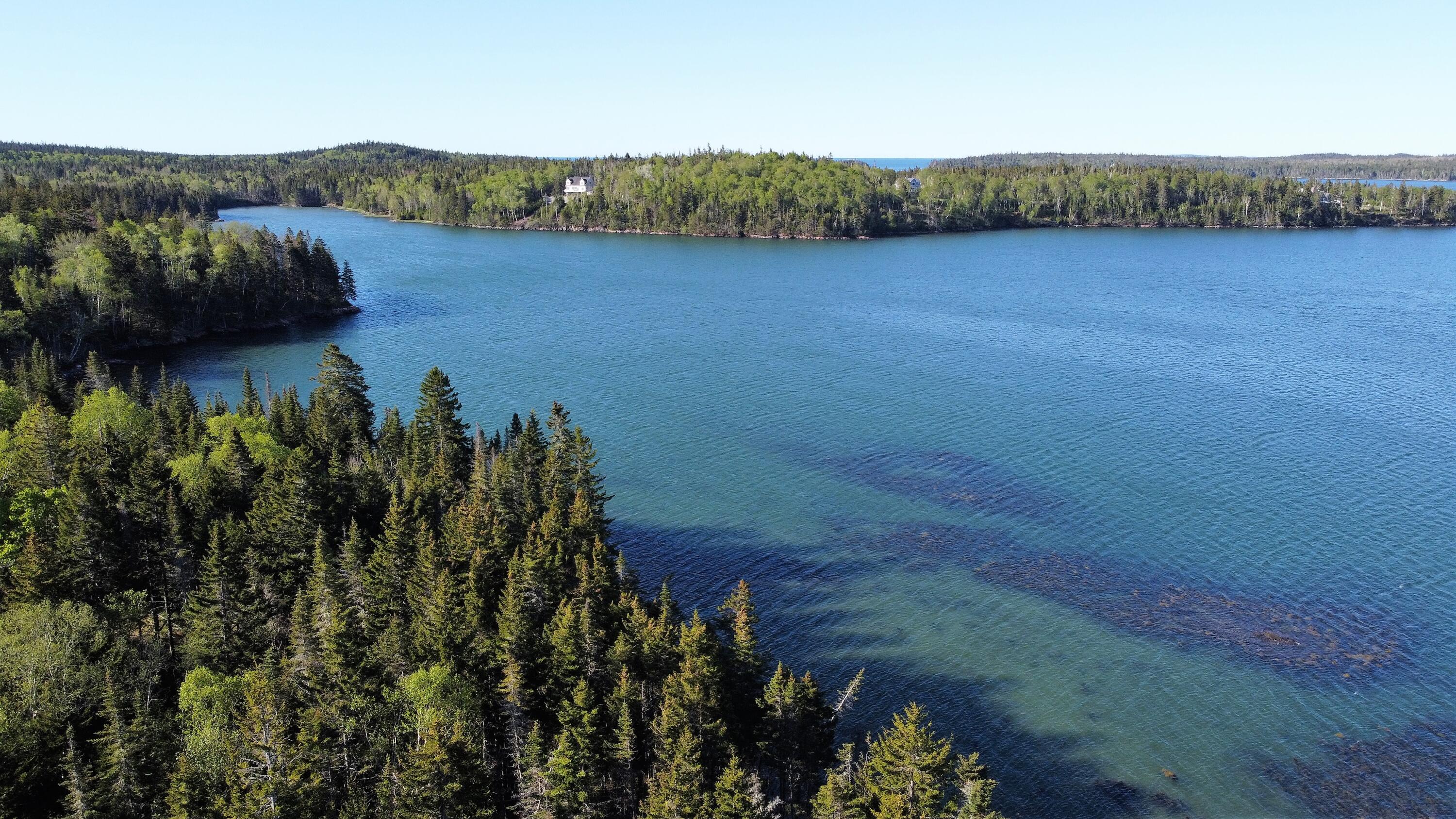 Lot 15 Collins Cove Road Machiasport ME 04655