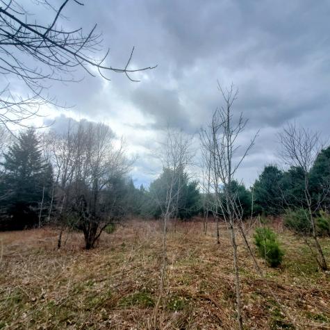 Lot 5 Dexter Road Cambridge ME 04923