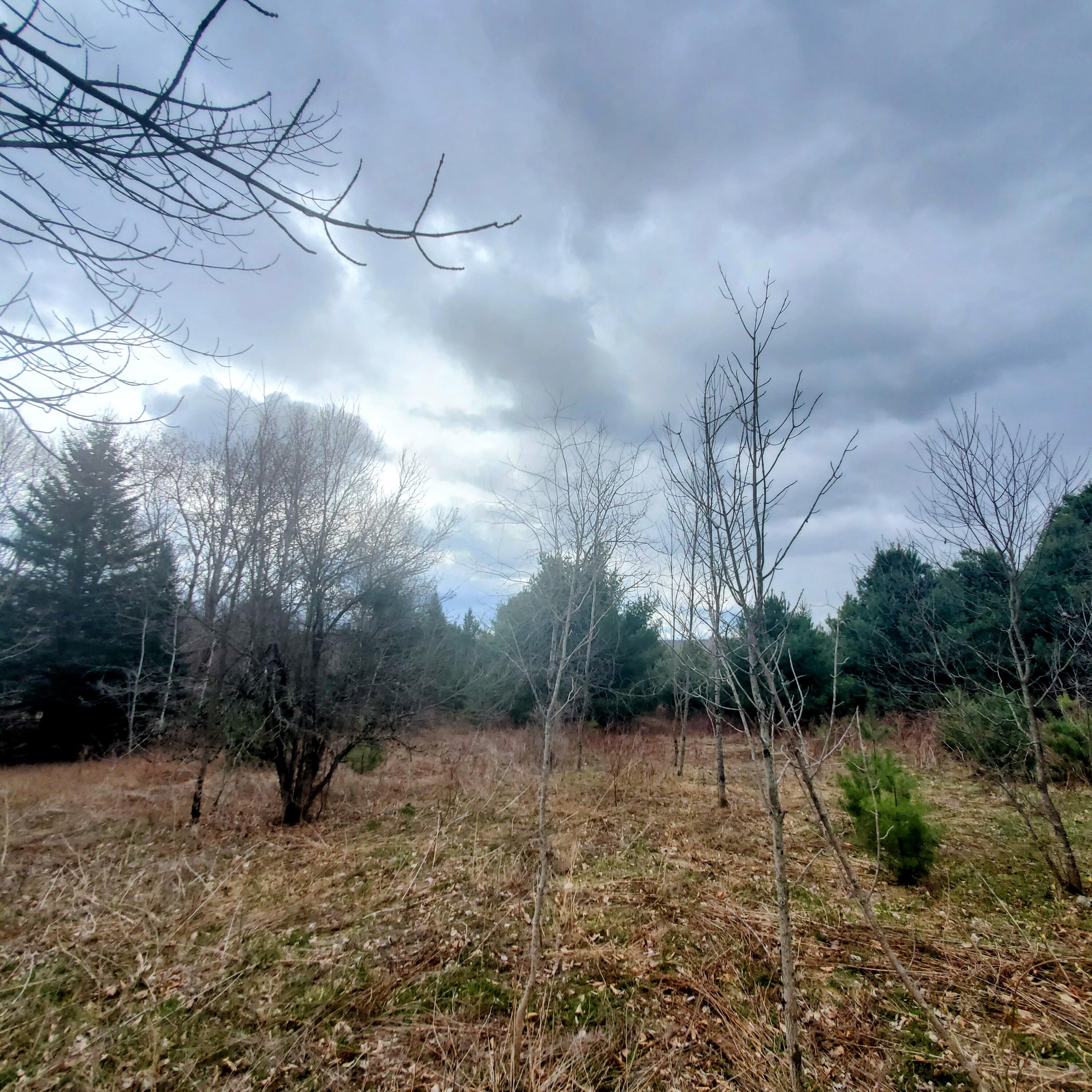 Lot 5 Dexter Road Cambridge ME 04923
