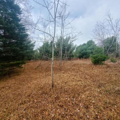 Lot 5 Dexter Road Cambridge ME 04923