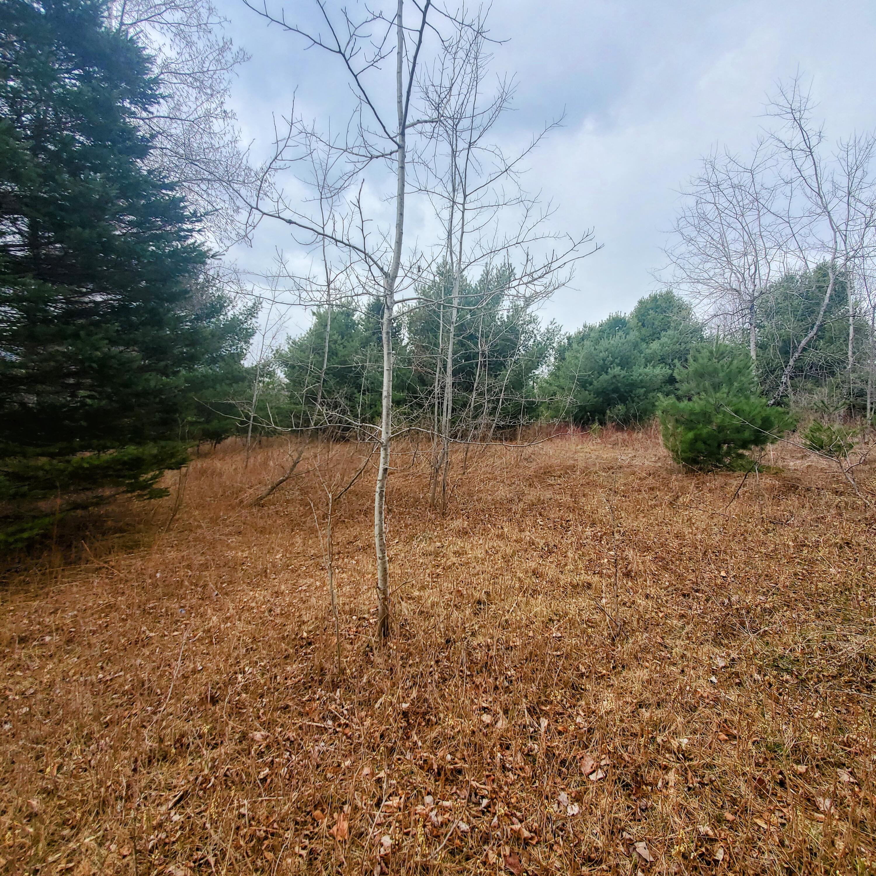 Lot 5 Dexter Road Cambridge ME 04923