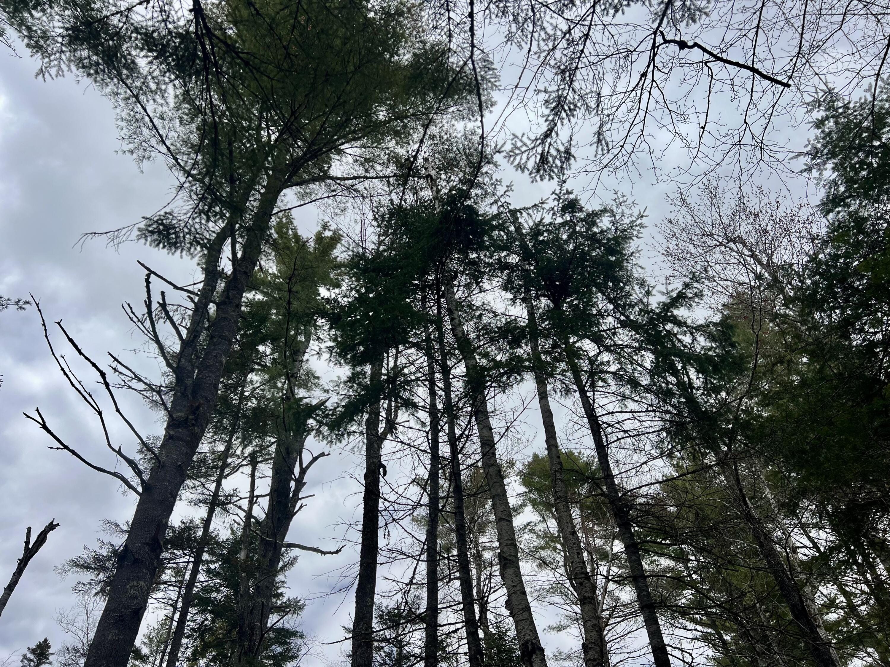 20 Skyscraper Hill Road Brooks ME 04921