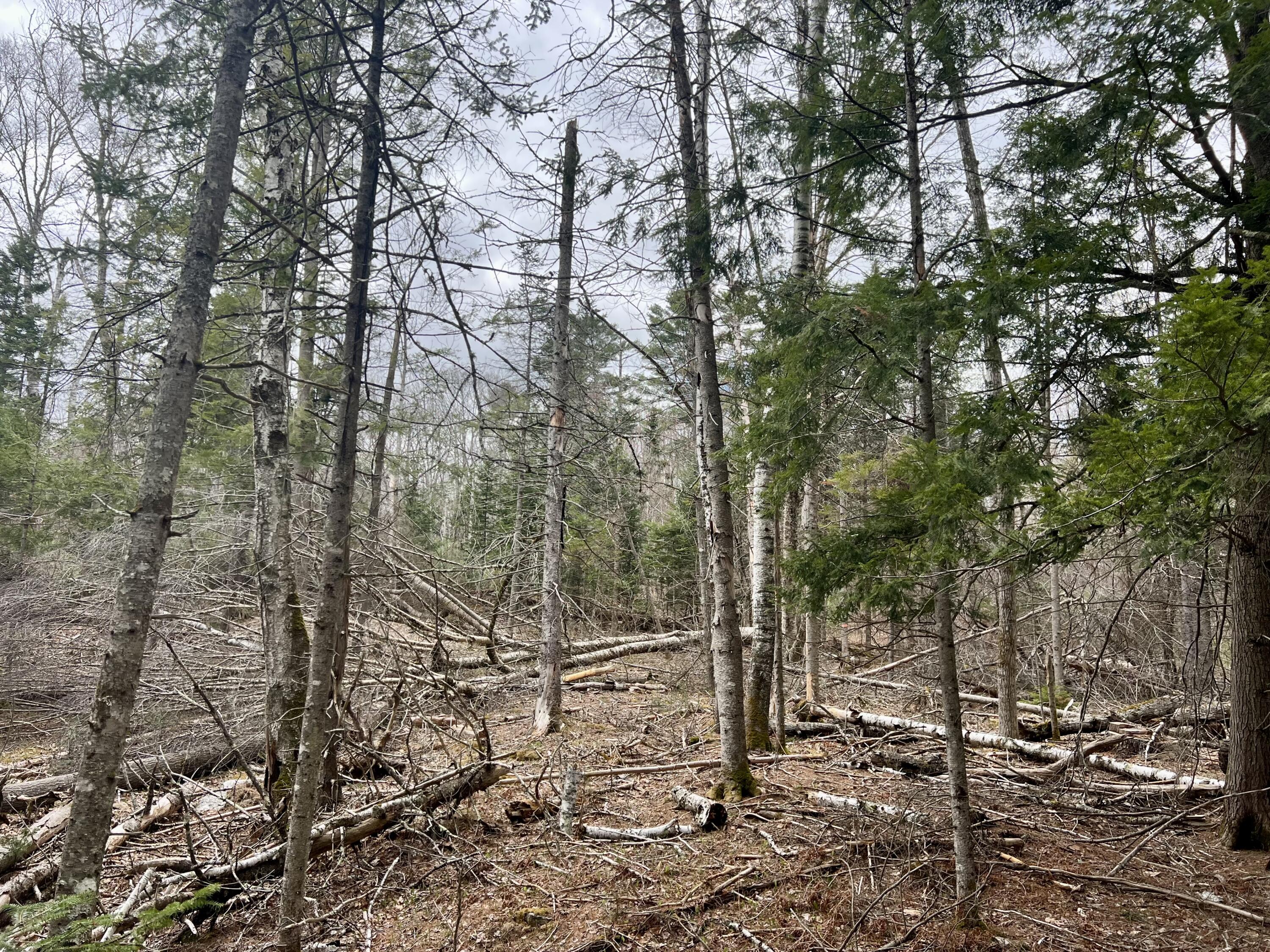 20 Skyscraper Hill Road Brooks ME 04921