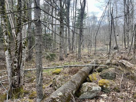 20 Skyscraper Hill Road Brooks ME 04921