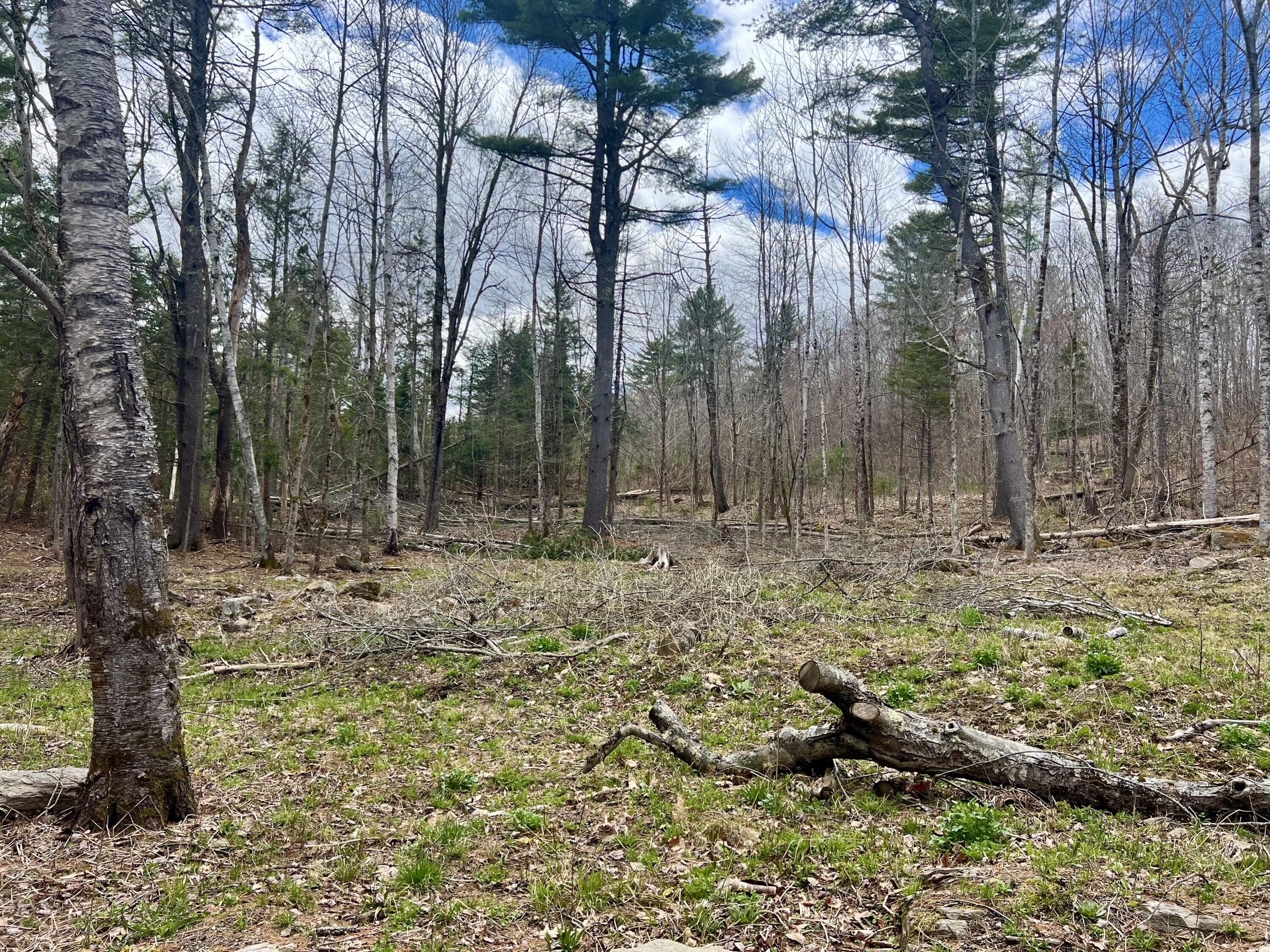 20 Skyscraper Hill Road Brooks ME 04921