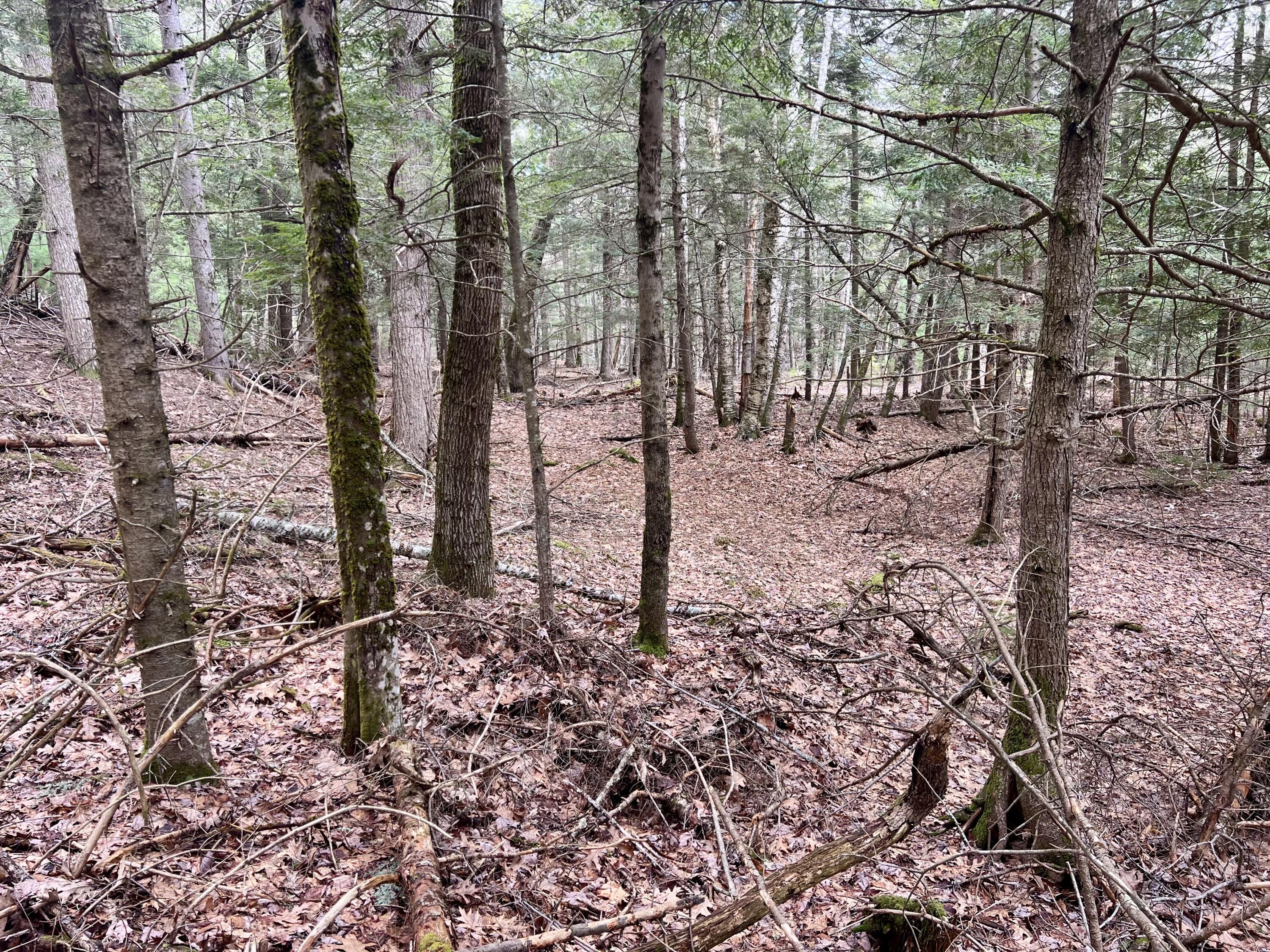 20 Skyscraper Hill Road Brooks ME 04921