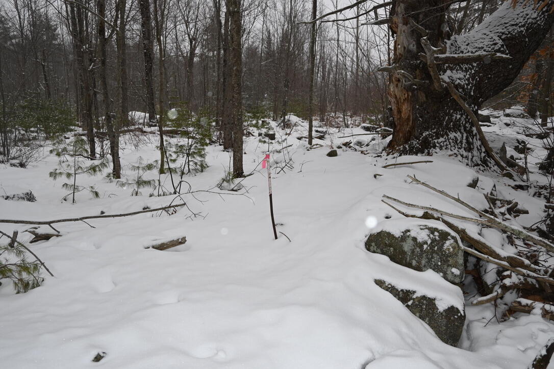 20 Copper Ridge Road Greene ME 04236