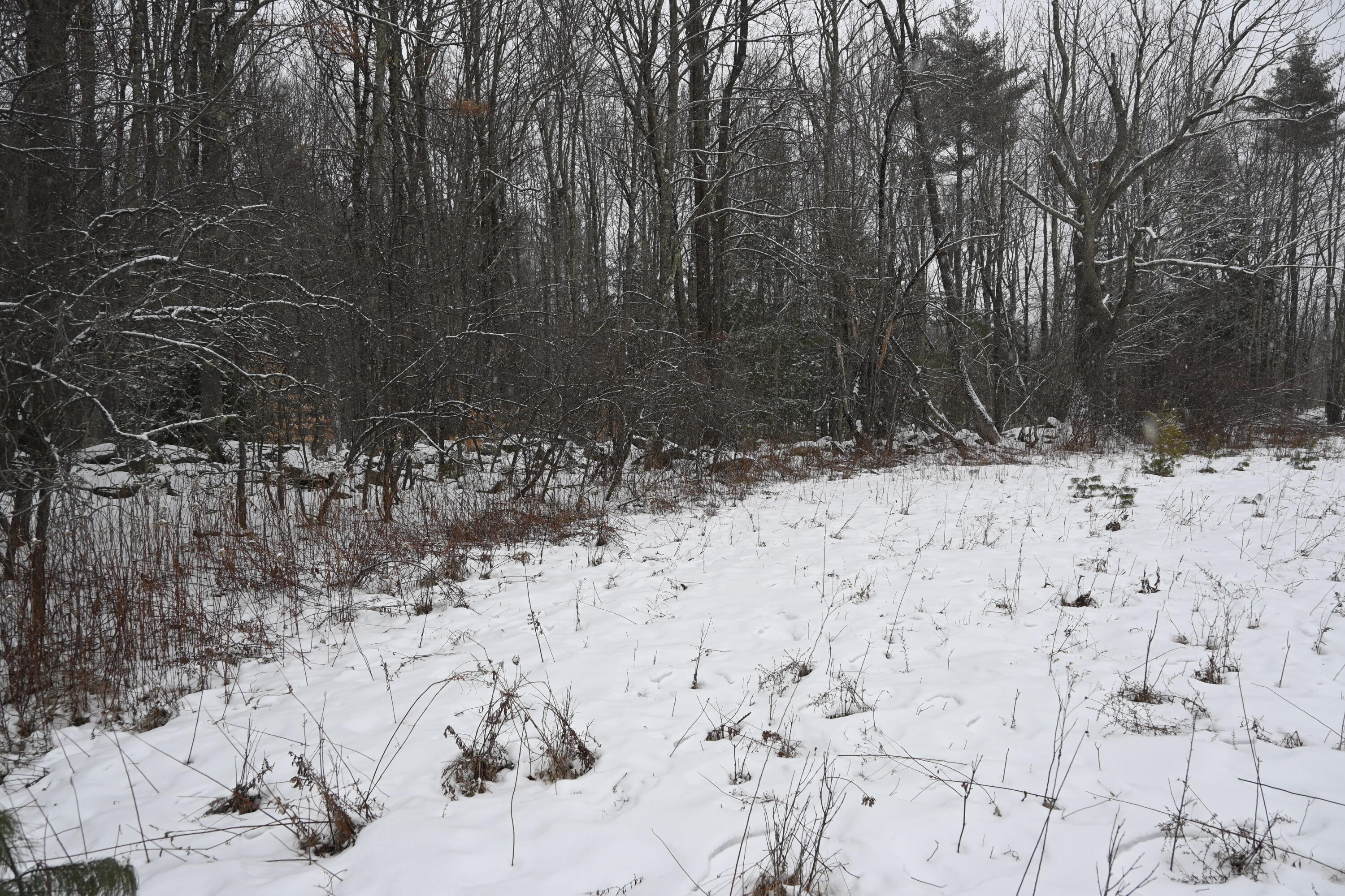 20 Copper Ridge Road Greene ME 04236
