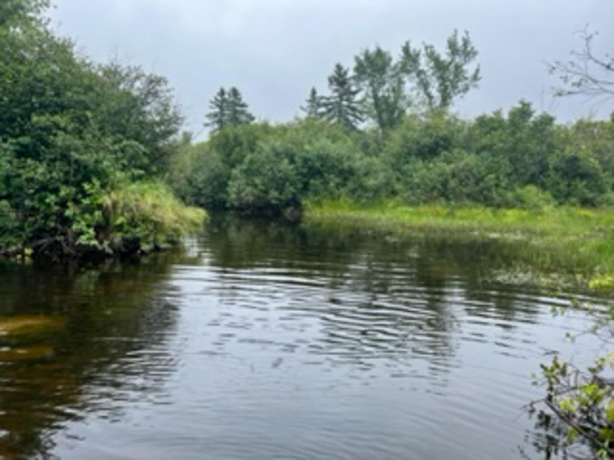 Lot 10 Tucker Ridge Road ster Plt, ME