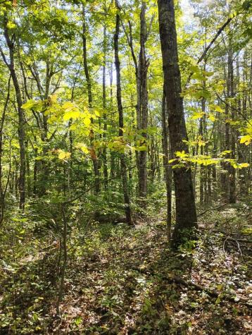 2 Bicknell Road Belmont ME 04952