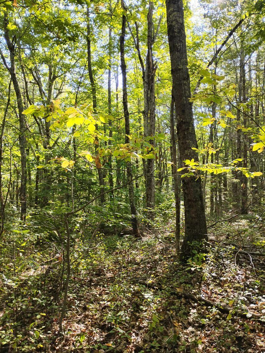 2 Bicknell Road Belmont ME 04952